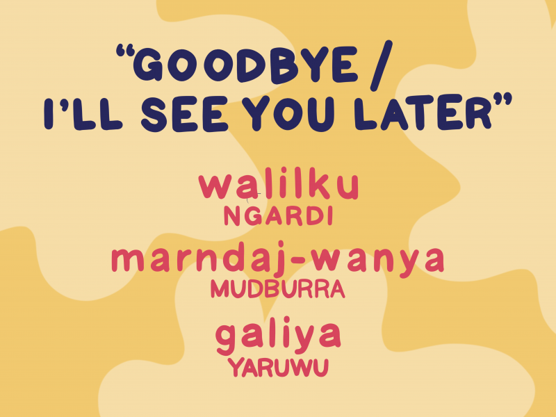Three words for “goodbye/I’ll see you later”: “walilku” (Ngardi language), “marndaj-wanya” (Mudburra language), “galiya” (Yaruwu language)
