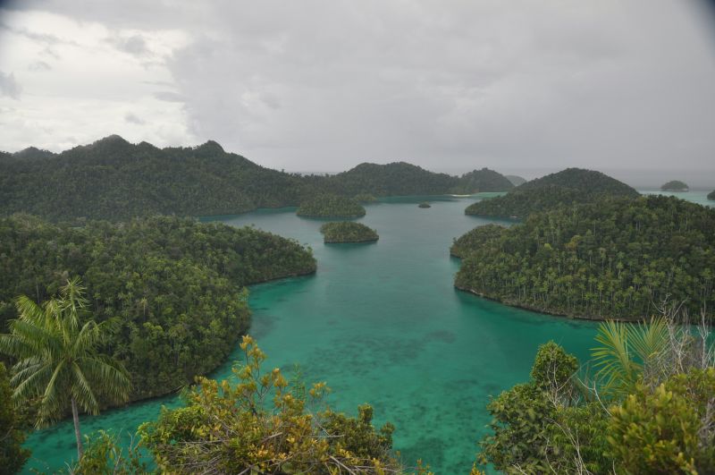 Islands surrounded by a body of water