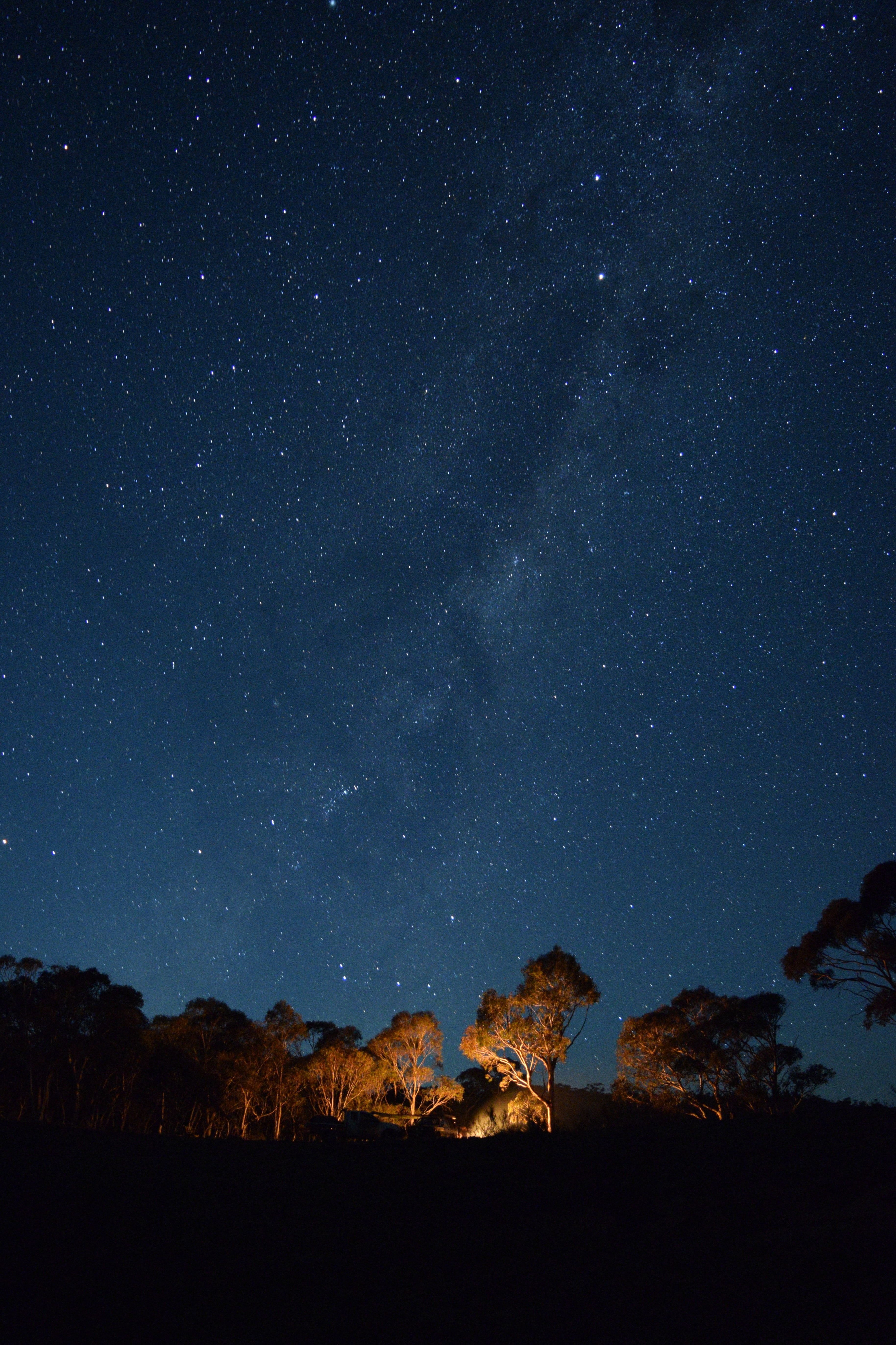 A starry night in the bush. The emu in the sky is visible in the milky way. There are large trees visible on the ground. Some of the trees are lit up from below, from either a fire or light.