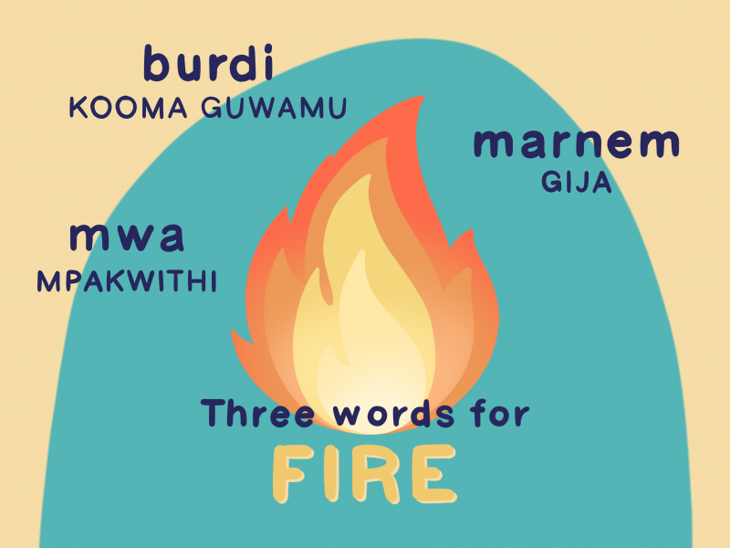 Three words for “Fire”: “mwa” (Mpakwithi language), “burdi” (Kooma guwamu language), “marnem” (Gija language)