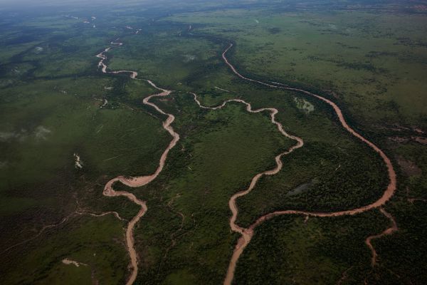 Aerial photo of the Martuwarra river. Several branches of the river wind along amongst a green landscape.