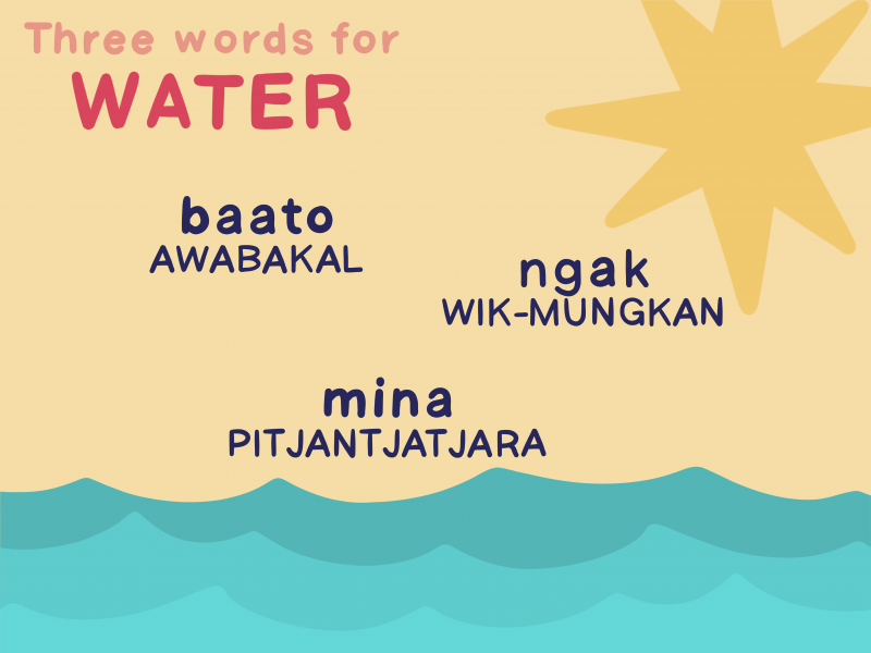 Three words for “water”: “baato” (Awabakal language), “ngak” (Wik-mungkan language), “mina” (Pitjantjatjara language)
