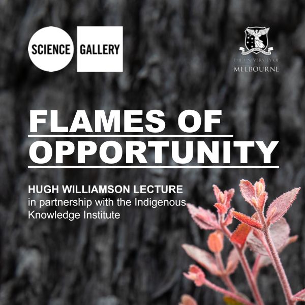Flames of Opportunity Photo